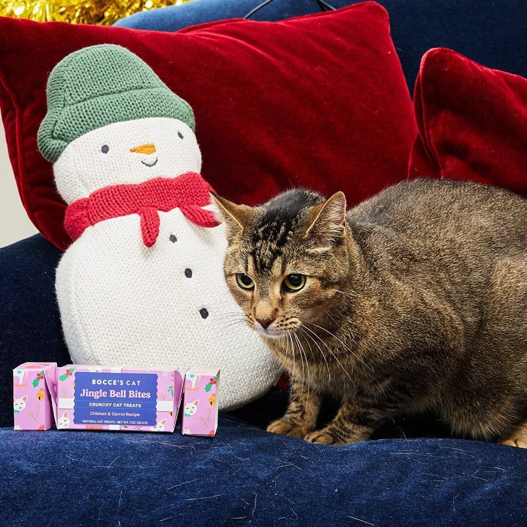 Bocce's Bakery Holiday Cat Treats Jingle Bell Bites Cracker