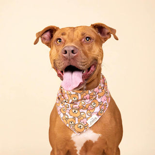 The Paws Bandana - Fluff