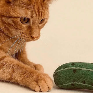 Ciao Gatto Wool Dill Pickle