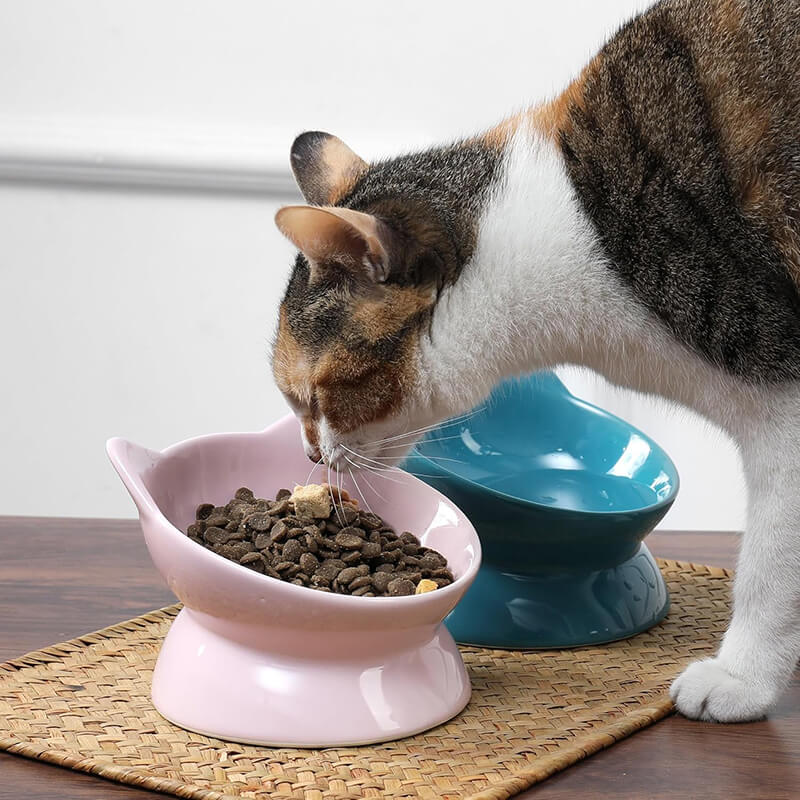 Park Life Designs Oscar Tilt Cat Dish