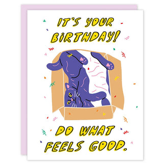 Party of One Birthday Card Cat Feels