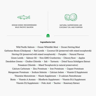 Open Farm Cat Wild Salmon