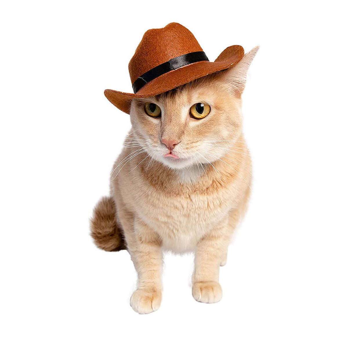 Pet Krewe Cowboy Hat for Pets