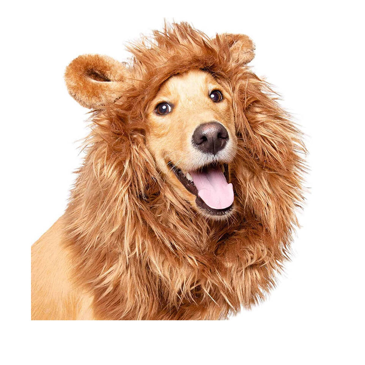 Pet Krewe Lion Mane Costume for Pets
