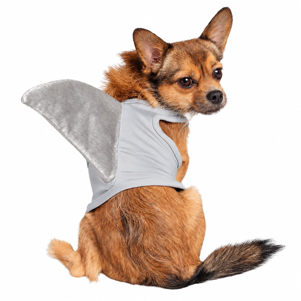 Pet Krewe Shark Pet Costume