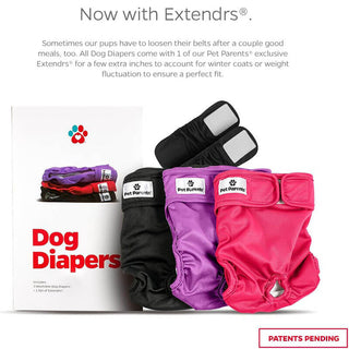 Pet Parents® Washable Dog Diapers+ Extendrs®