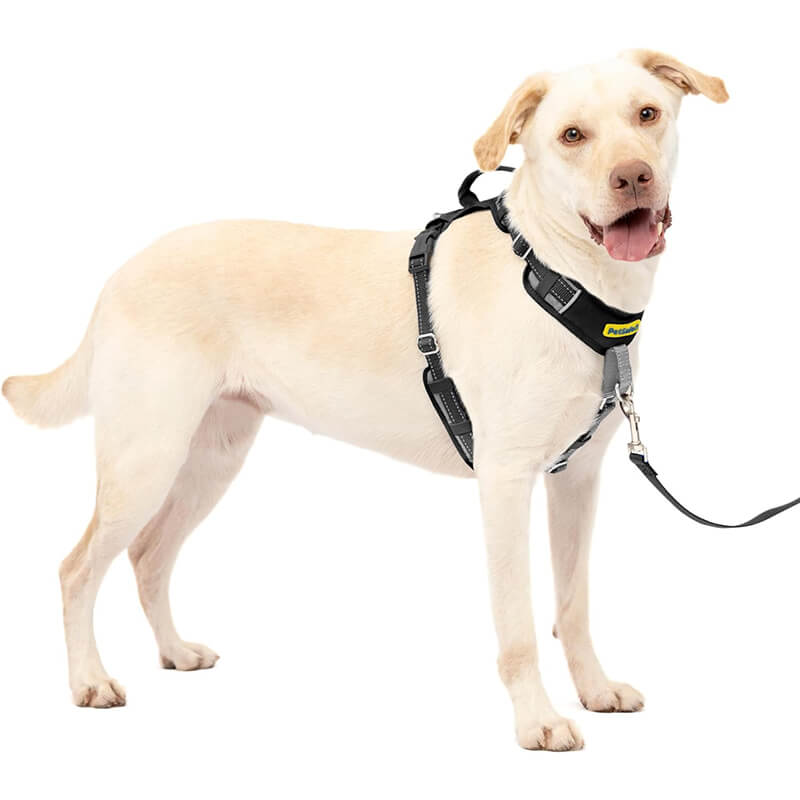 Petsafe Easy Comfort No-Pull Harness