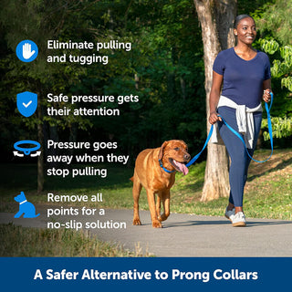 PetSafe Soft Point Training Collar