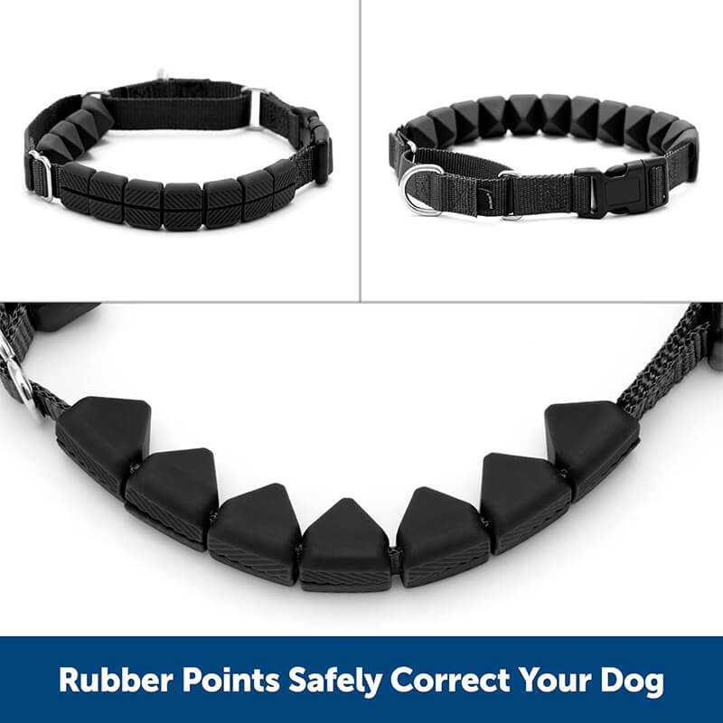 PetSafe Soft Point Training Collar