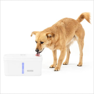 Petsafe Viva Fountain