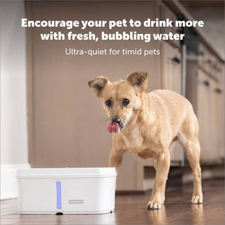 Petsafe Viva Fountain