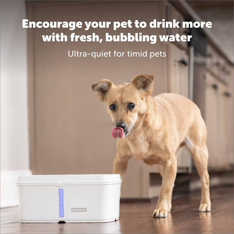 Petsafe Viva Fountain