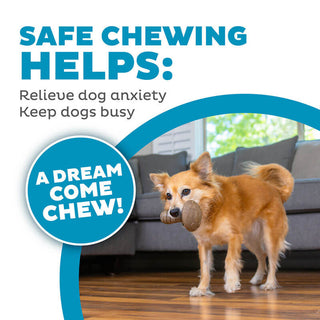 Petstages Dogwood Mushroom Chew