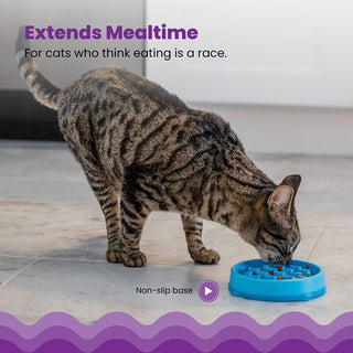 Petstages Kitty Slow Feeder Bowl Blue