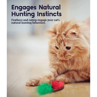 Catstages Straw-Babies Dental Catnip Toy