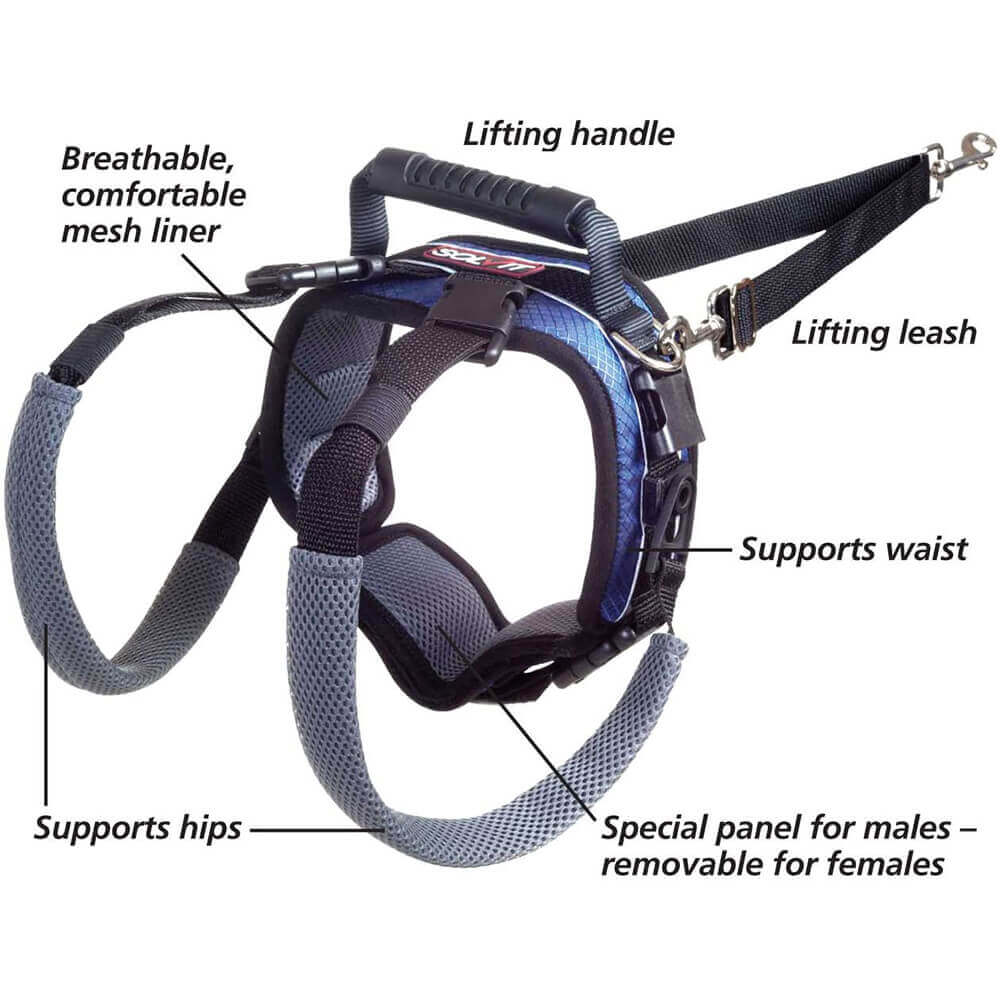 Petsafe Carelift Rear Support Harness