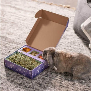 Sweet Meadow Farm Bunny Bento Box with Papaya & Marigold