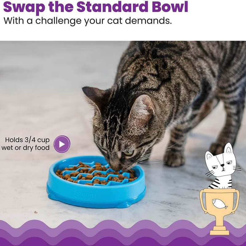 Petstages Kitty Slow Feeder Bowl Blue
