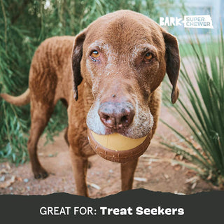 BARK Super Chewer Acornucopia