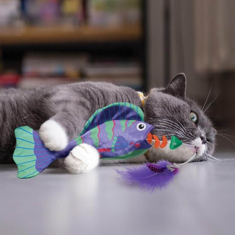 Kong  Cat Wrangler Angler Fish