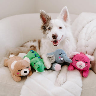Zippy Paws Snooziez Bunny with Shhqueaker