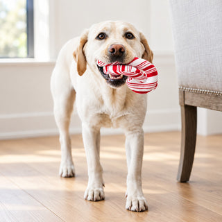 P.L.A.Y. Holiday Classic Candy Canes