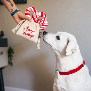 P.L.A.Y. Holiday Classic Candy Canes