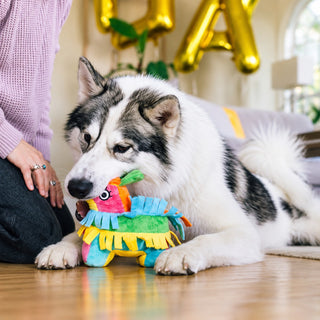 P.L.A.Y. Party Animal Fiesta Fetch Piñata