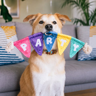 P.L.A.Y. Party Animal Tug n’ Party Banner