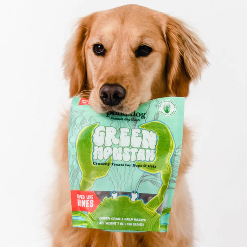 Polka Dog Green Monstah Bones