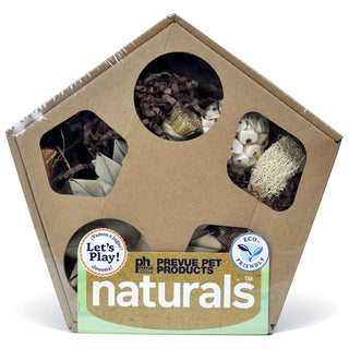 Prevue Pet Pentagon Forage n Play Box - Large