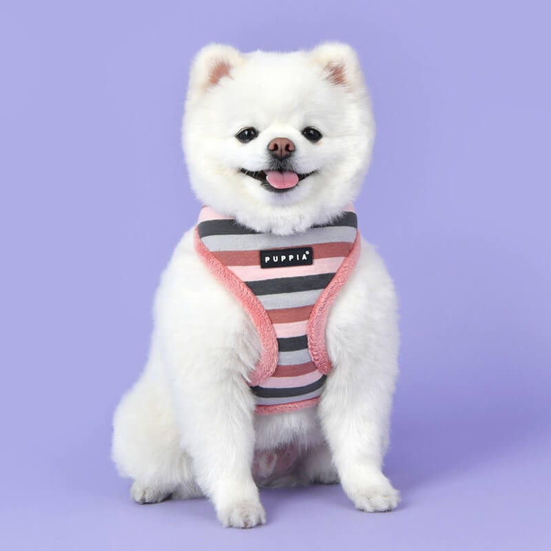 Puppia Bryson Harness A