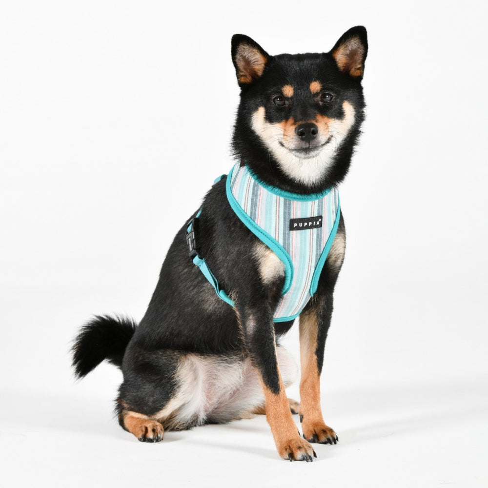 Puppia Step-In Vest Harness Theros