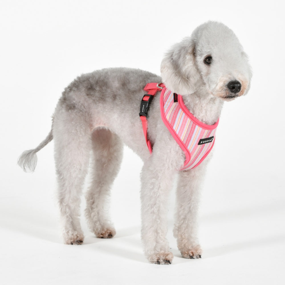 Puppia Step-In Vest Harness Theros