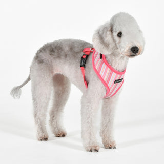Puppia Step-In Vest Harness Theros