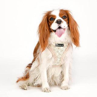 Puppia Hepatica Harness A
