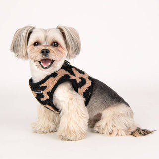 Puppia Serval Harness B