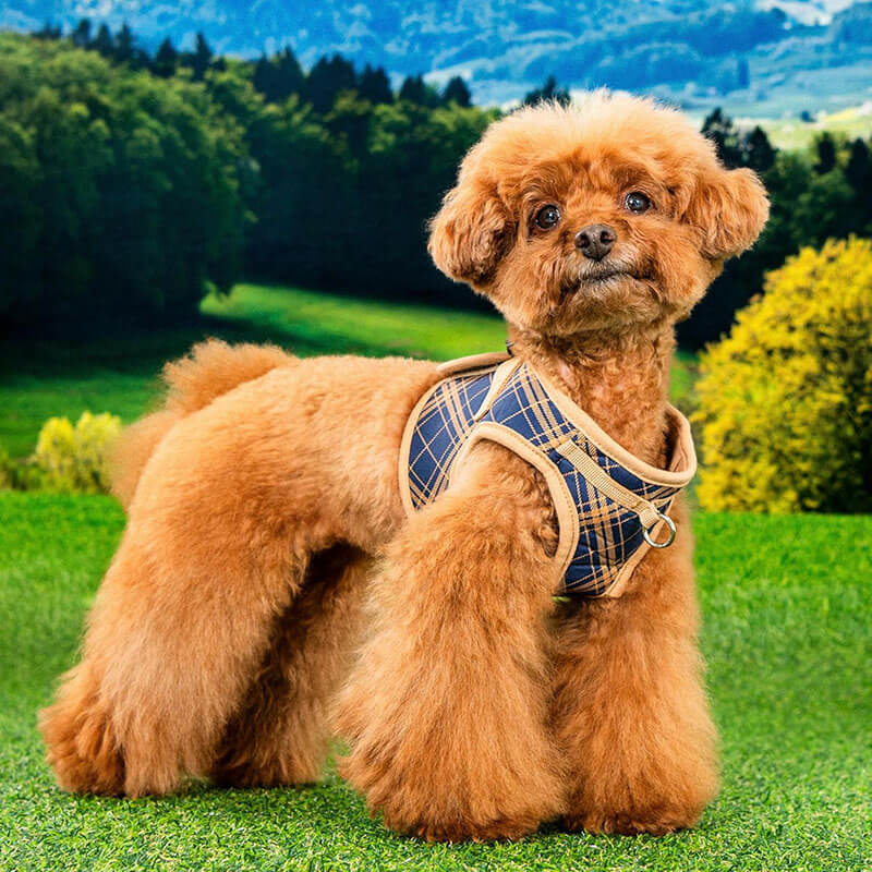 Puppia Step-In Vest Harness Corwin Checkered