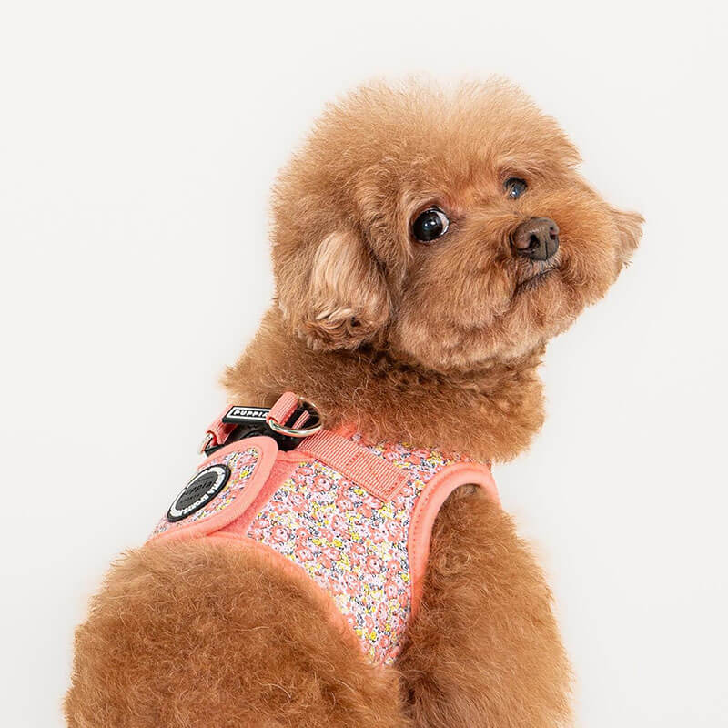 Puppia Step-In Vest Harness Kealoha Floral