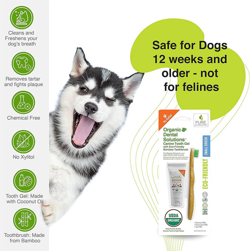 Pure and Natural Organic Tooth Gel and Bamboo Toothbrush for Large Dogs