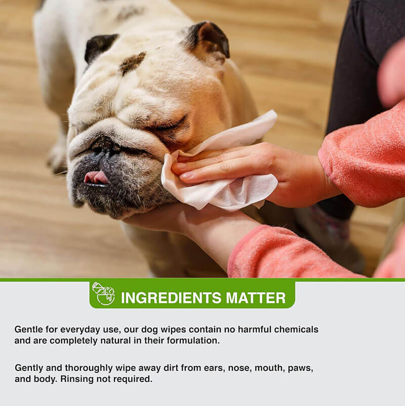 Pure and Natural Pet Unscented Grooming Wipes