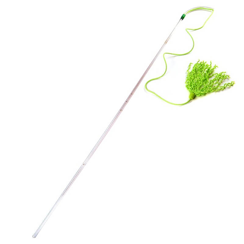 Purrfect Curly Cat Toy