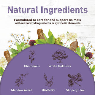 Earth Animal No More Runs Herbal Remedy