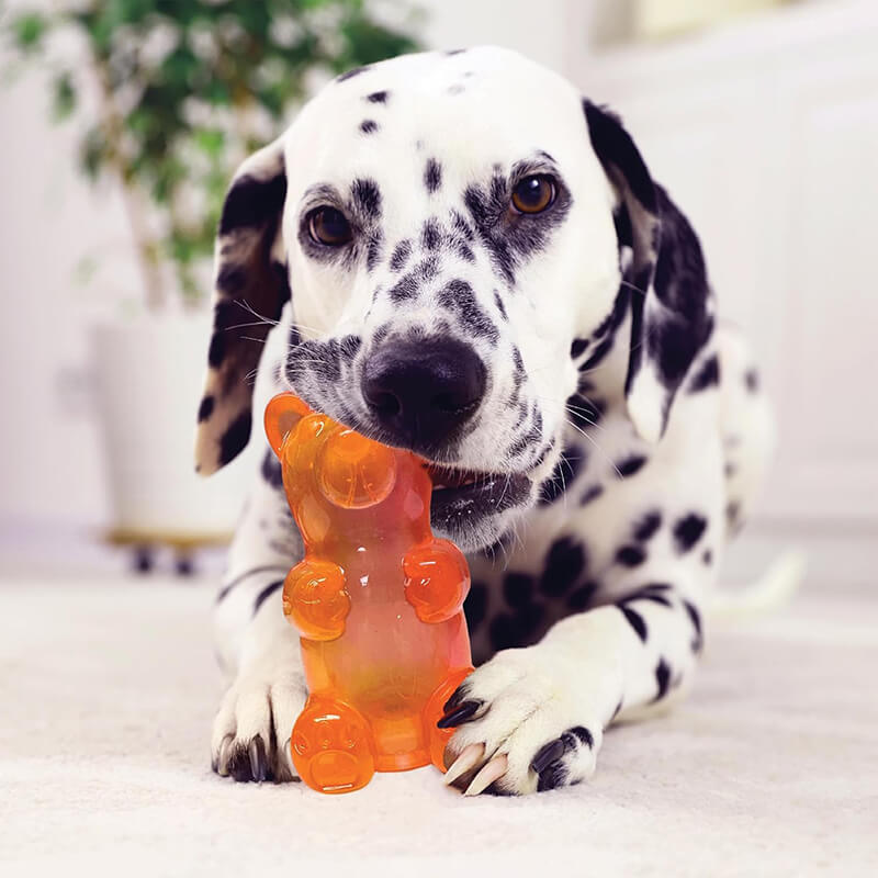 Spunky Pup Gummy Bear Squeaker Toy