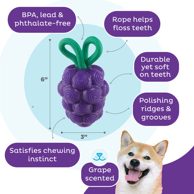 Planet Dog Grape Chew Toy