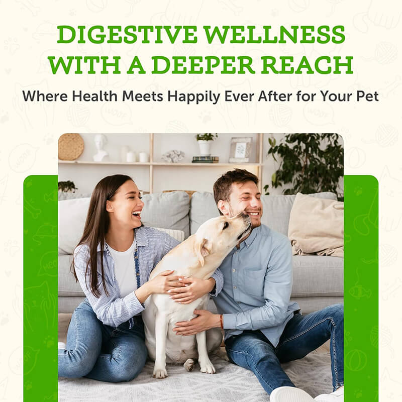 Animal Essentials Slippery Elm Herbal Extract for Dogs & Cats