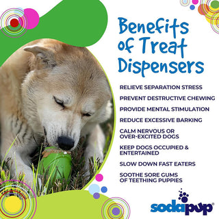 SodaPup Treat Dispenser Gnome Toy