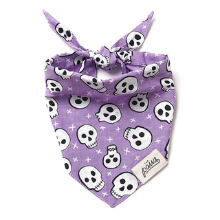 The Paws Bandana - Roger