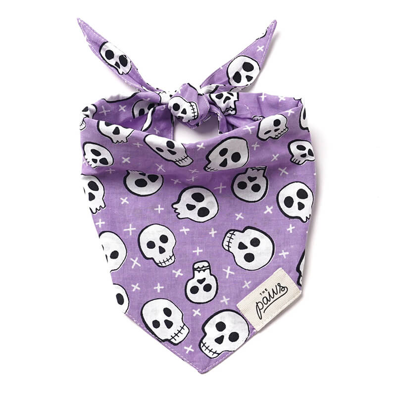 The Paws Bandana - Roger