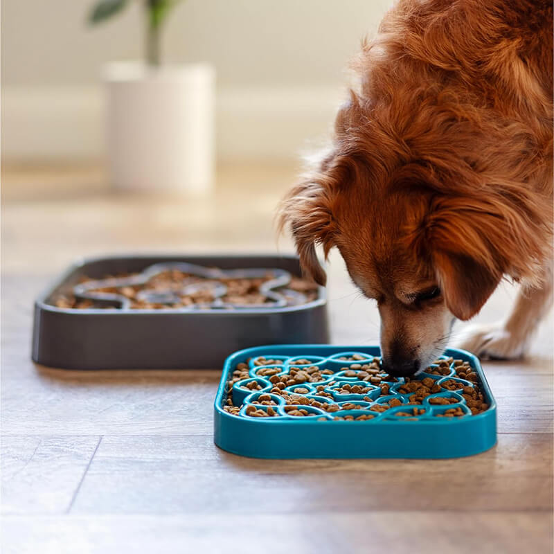 Messy Mutts Slow Feeder Square